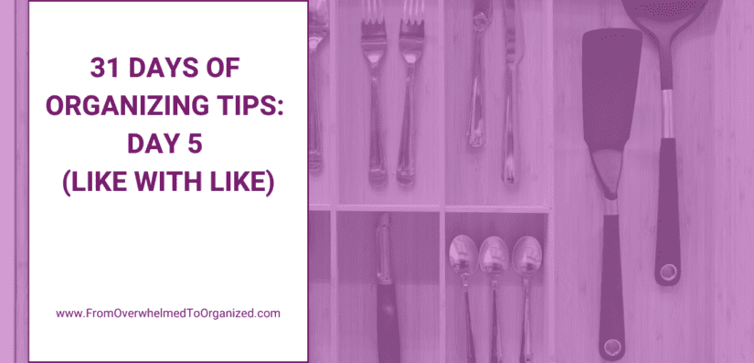 31 Days of Organizing Tips: Day 5 (Like With Like)